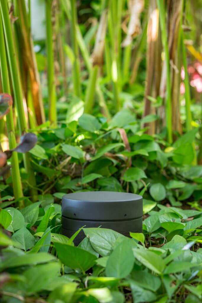 Garden Small Speaker Design Kansas City