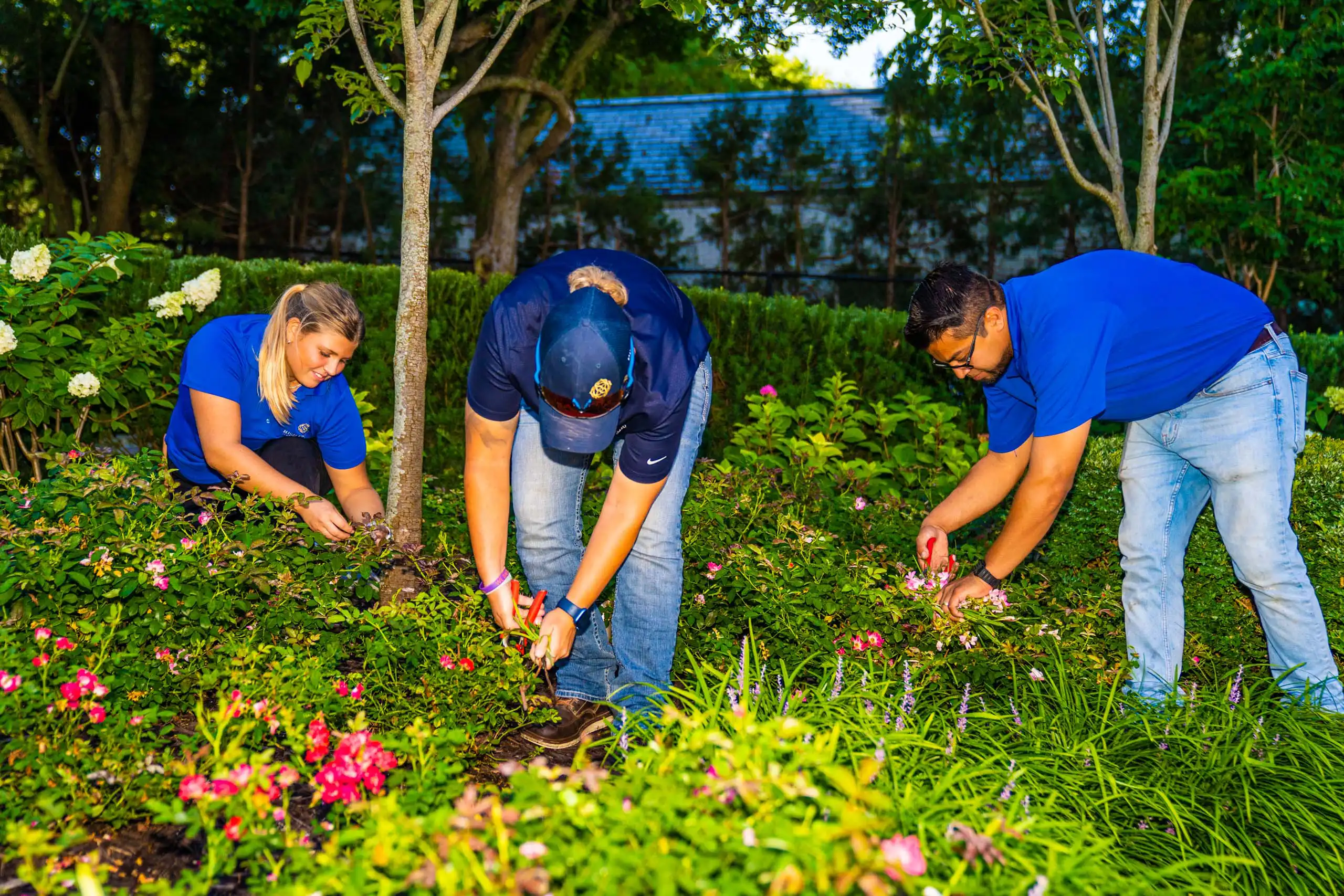 HIGHPRAIRIE_HIGHRESOLUTION_DAY1-32 HIGHPRAIRIE_HIGHRESOLUTION_DAY1-32