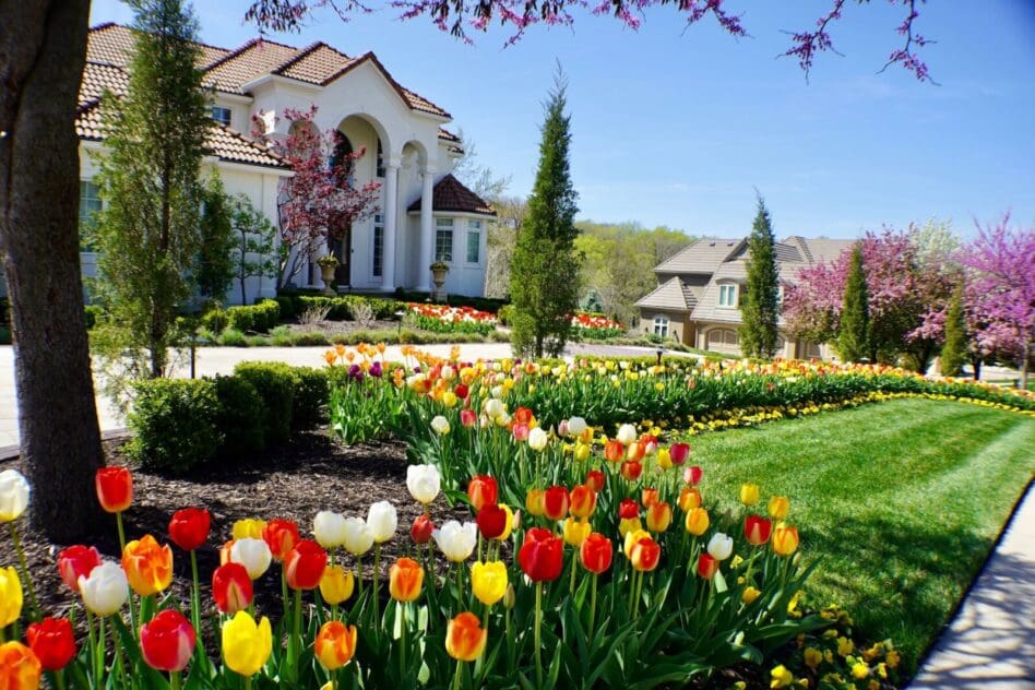 tulip garden landscaping Kansas City