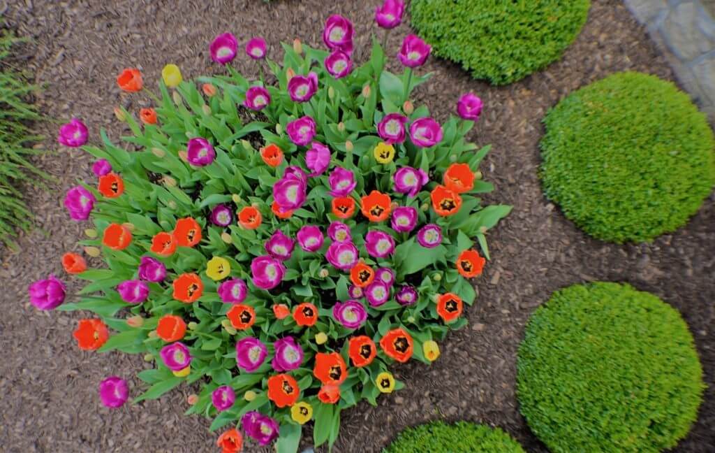 flower garden landscaping Kansas City