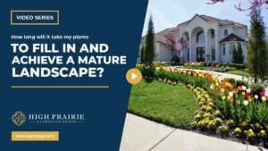 mature landscape kansas city