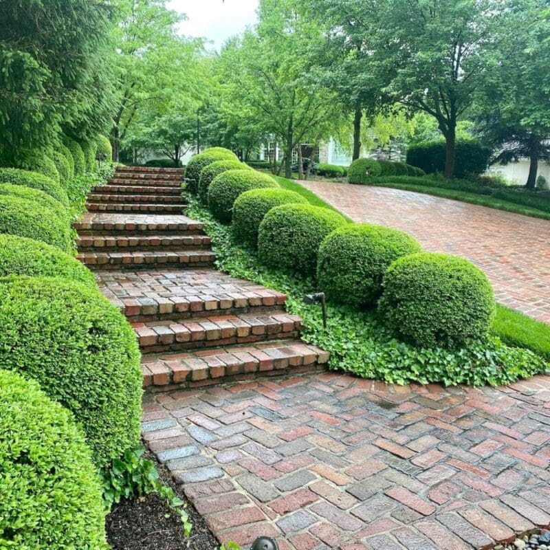 boxwoods along steps brick walkway Kansas City Step Bricks Design Kansas City