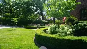 garden hedge & trees Kansas City