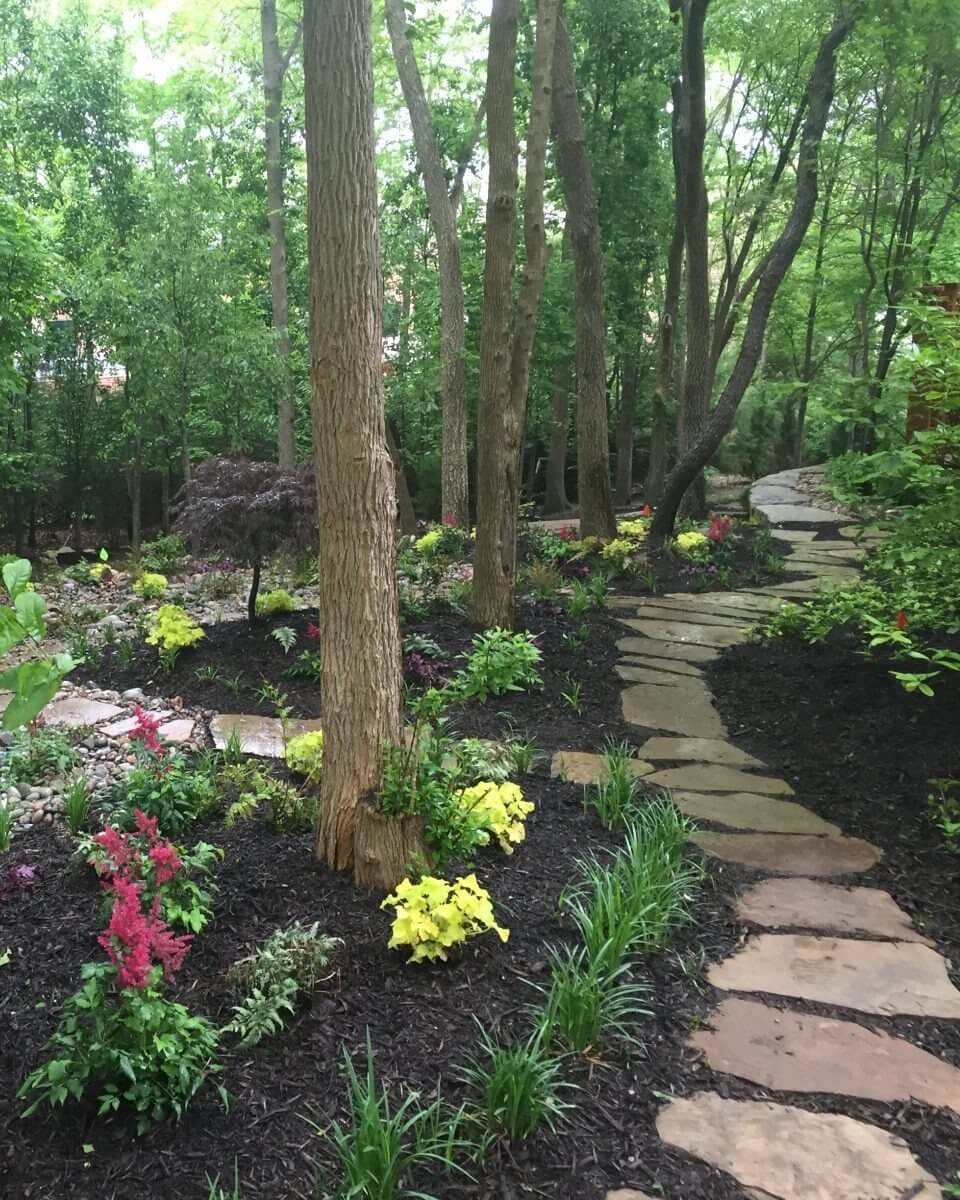 patio pavement Kansas City mini forest landscaping Kansas City
