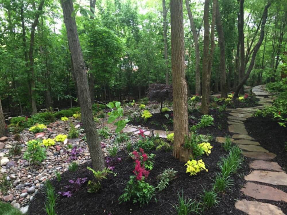 Backyard Mini Forest Design Kansas City