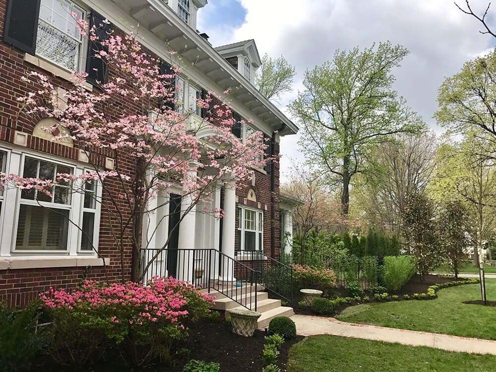 Tips for Choosing Which Types of Trees to Plant In My Backyard